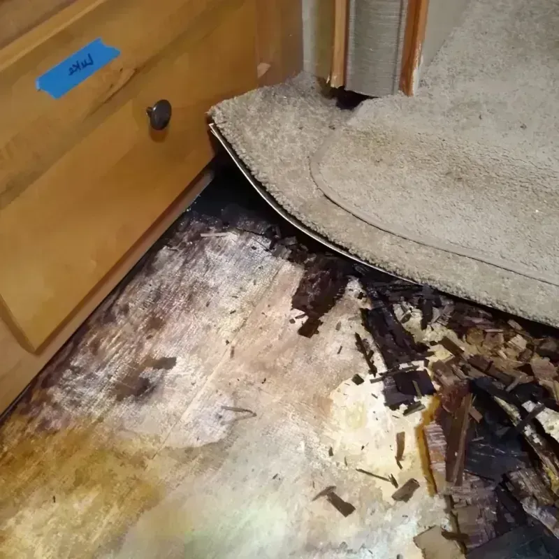 Best Wood Floor Water Damage Service in Sunnyvale, CA